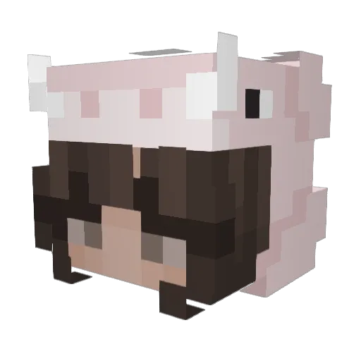 Kittyuwulover Minecraft avatar head, 3D render