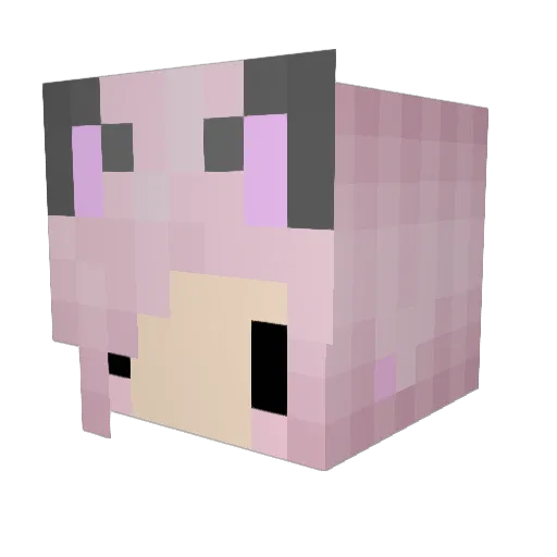 Kittyy09 Minecraft avatar head, 3D render