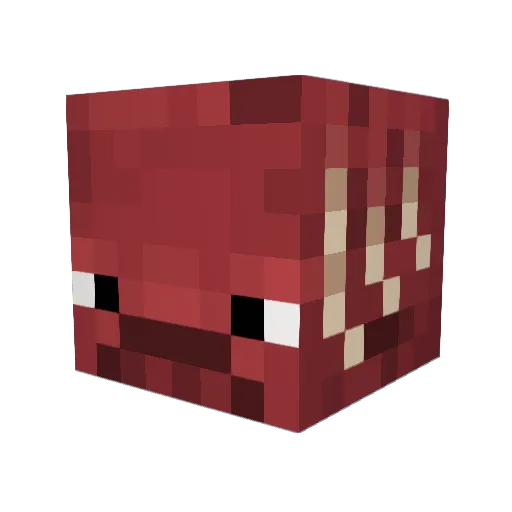 Kiu13 Minecraft avatar head, 3D render