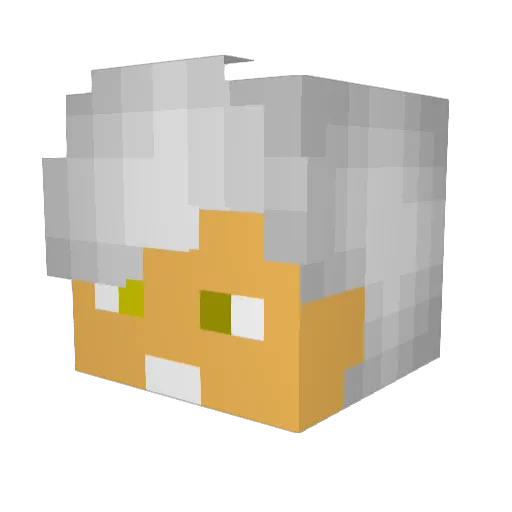 Kiva_2005 Minecraft avatar head, 3D render