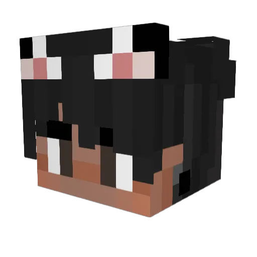 Kivali Minecraft avatar head, 3D render