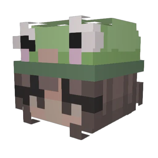 Kiviirose Minecraft avatar head, 3D render