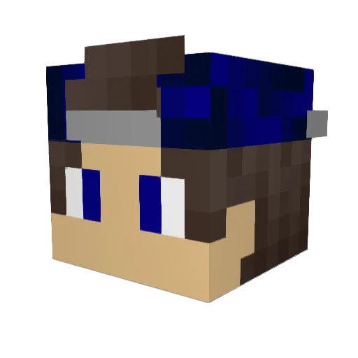 Kiwanss Minecraft avatar head, 3D render