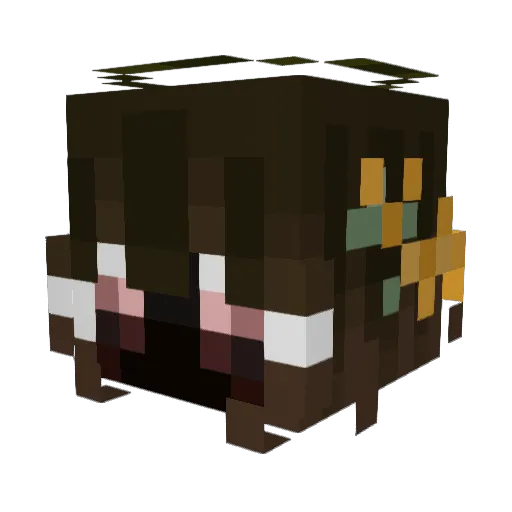 Kiwbo Minecraft avatar head, 3D render