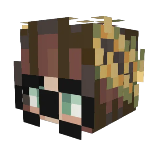 KiwehBird Minecraft avatar head, 3D render
