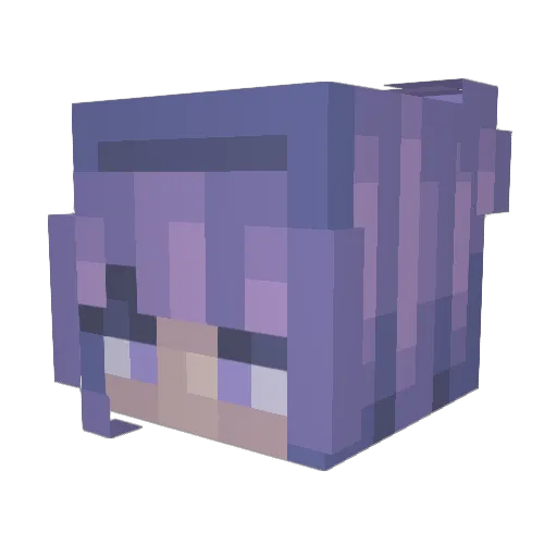 Kiwi283 Minecraft avatar head, 3D render