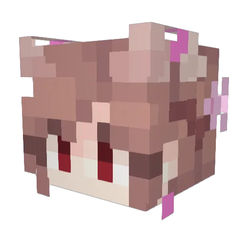 Kiwi5511 Minecraft avatar head, 3D render