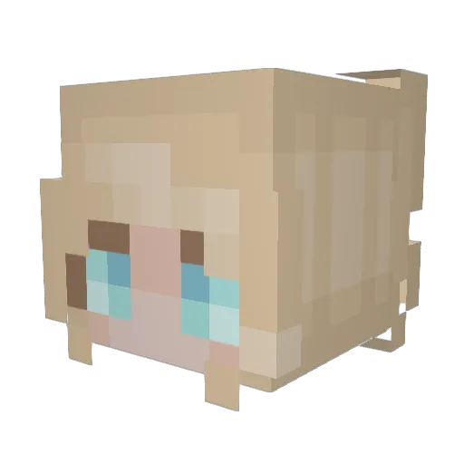 Kiwi6535 Minecraft avatar head, 3D render