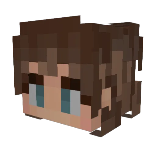 KiwiBird2406 Minecraft avatar head, 3D render