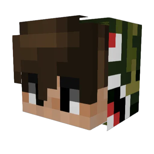 KiwiBoi_ Minecraft avatar head, 3D render