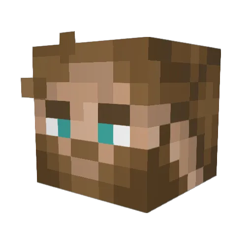 KiwiBoy1695 Minecraft avatar head, 3D render
