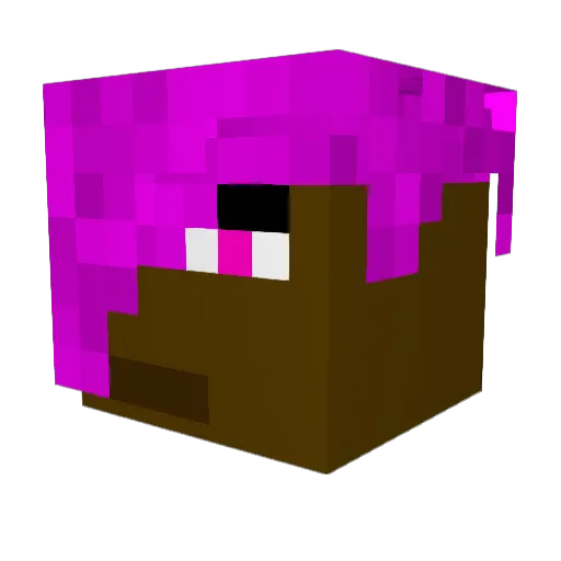 KiwiBoyee Minecraft avatar head, 3D render