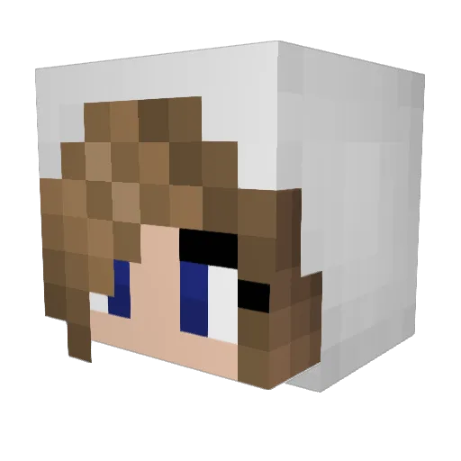 KiwiCrafter04 Minecraft avatar head, 3D render