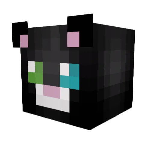 KiwiDragoon Minecraft avatar head, 3D render