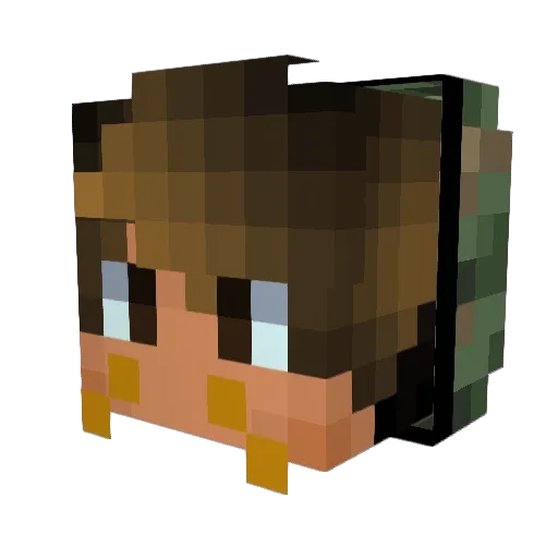 KiwiFace99 Minecraft avatar head, 3D render