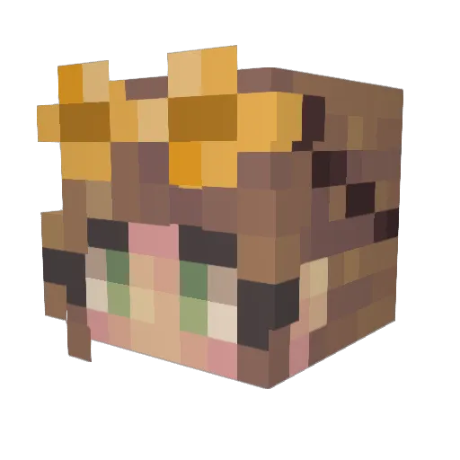 KiwiFii Minecraft avatar head, 3D render