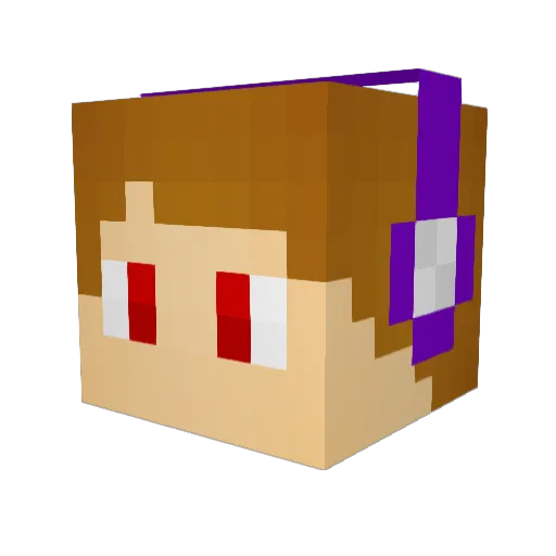 KiwiGamerQuentin Minecraft avatar head, 3D render