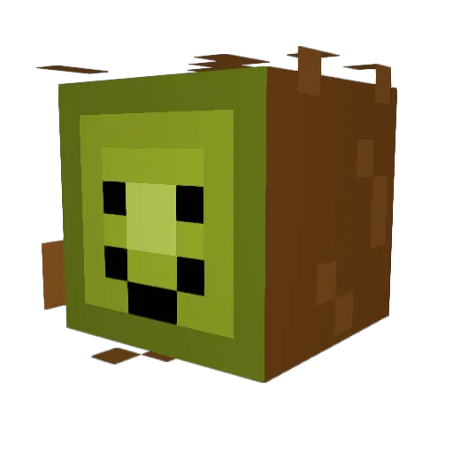 KiwiGenerico Minecraft avatar head, 3D render