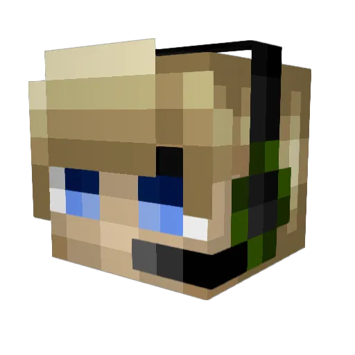 KiwiJone Minecraft avatar head, 3D render