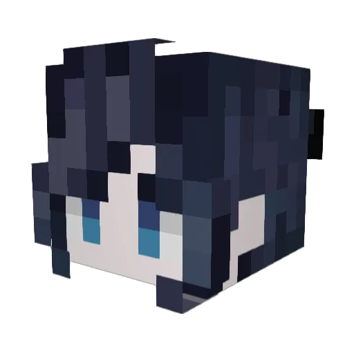 KiwiKills Minecraft avatar head, 3D render