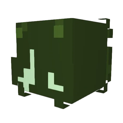 KiwiLL1 Minecraft avatar head, 3D render
