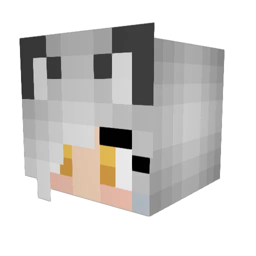 KiwiLemon95 Minecraft avatar head, 3D render