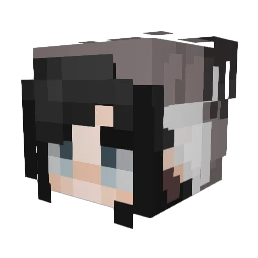 KiwiMG Minecraft avatar head, 3D render