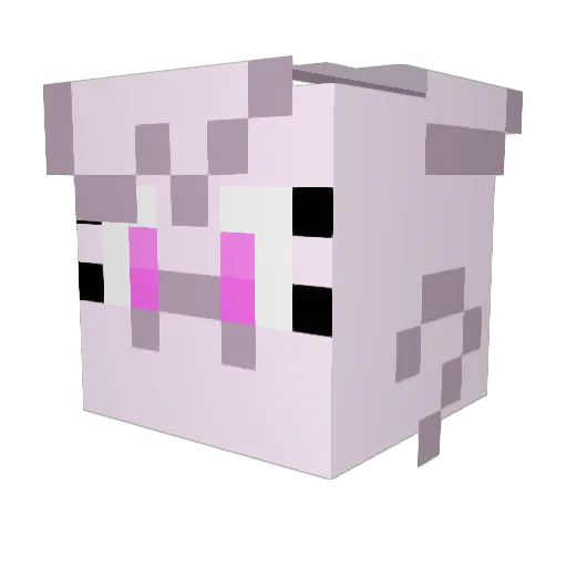 KiwiPLUR Minecraft avatar head, 3D render