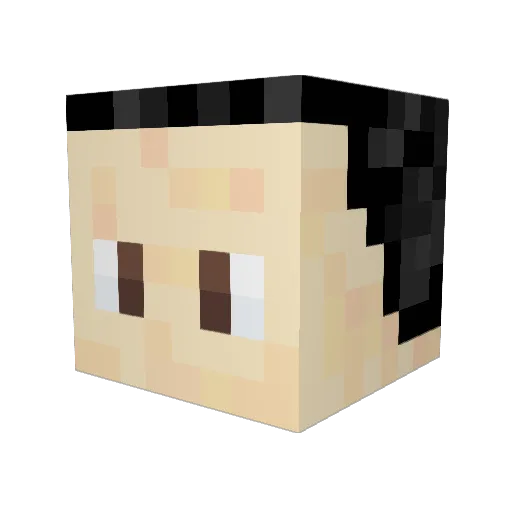 KiwiPrincess123 Minecraft avatar head, 3D render