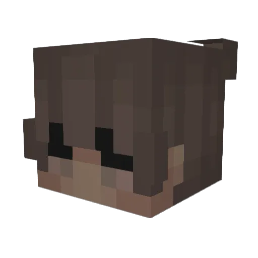 KiwiSP Minecraft avatar head, 3D render