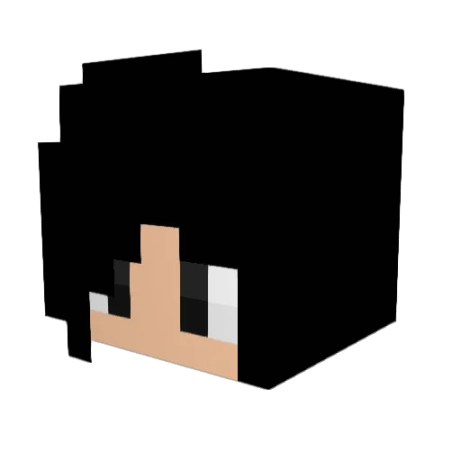 KiwiSava Minecraft avatar head, 3D render