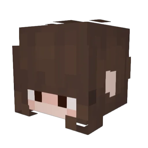 KiwiSnail Minecraft avatar head, 3D render