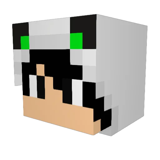 KiwiTerra Minecraft avatar head, 3D render