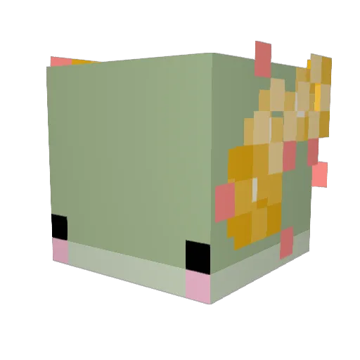 KiwiTheFroggie Minecraft avatar head, 3D render