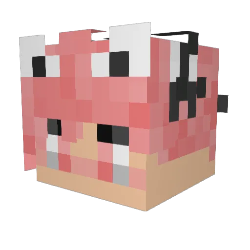 KiwiToast0 Minecraft avatar head, 3D render