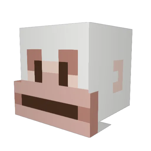 KiwiW00 Minecraft avatar head, 3D render