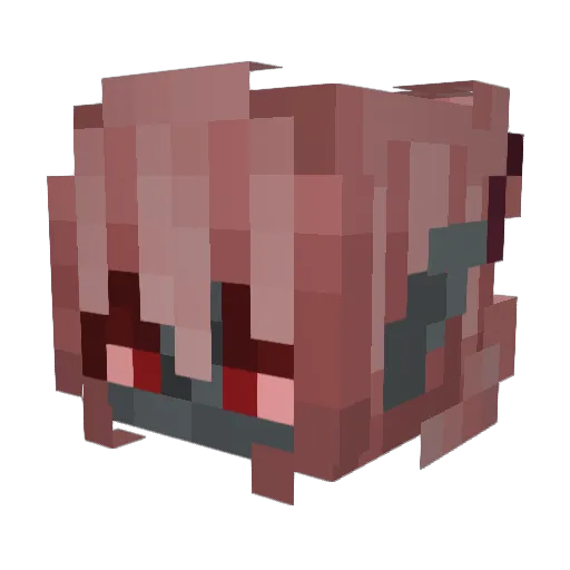 Kiwi_0409 Minecraft avatar head, 3D render