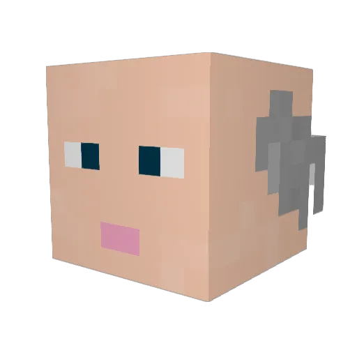 Kiwi_1500 Minecraft avatar head, 3D render