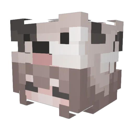 Kiwi_2232 Minecraft avatar head, 3D render