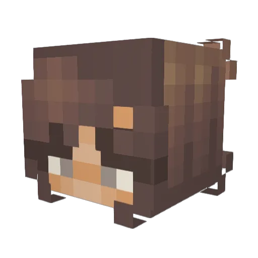 Kiwi_318 Minecraft avatar head, 3D render