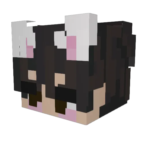 Kiwi_6006 Minecraft avatar head, 3D render