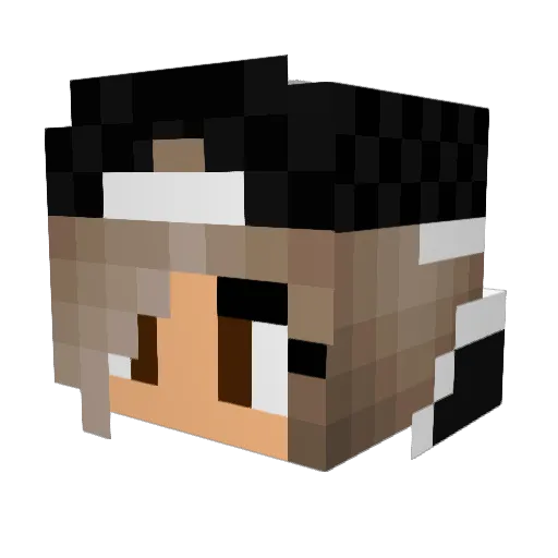 Kiwi_K_ Minecraft avatar head, 3D render