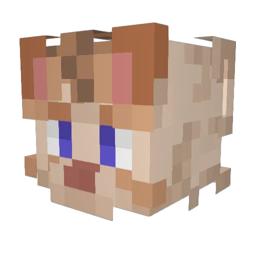 Kiwi_Kcz Minecraft avatar head, 3D render