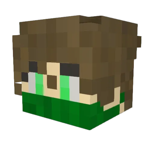 Kiwi_bird01 Minecraft avatar head, 3D render