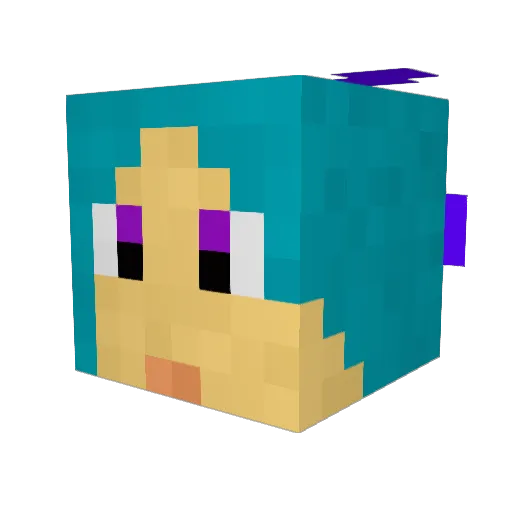 Kiwi_panda_5 Minecraft avatar head, 3D render