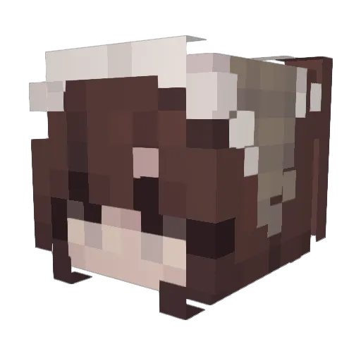 Kiwi_toes Minecraft avatar head, 3D render