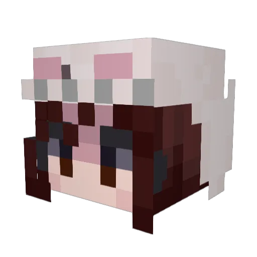 Kiwiberrym Minecraft avatar head, 3D render