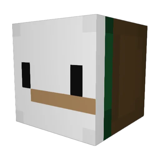 Kiwibird2189 Minecraft avatar head, 3D render