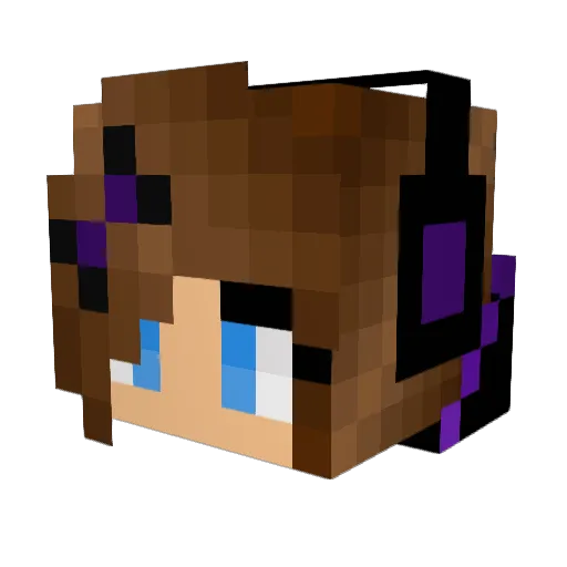 Kiwibirdz265 Minecraft avatar head, 3D render