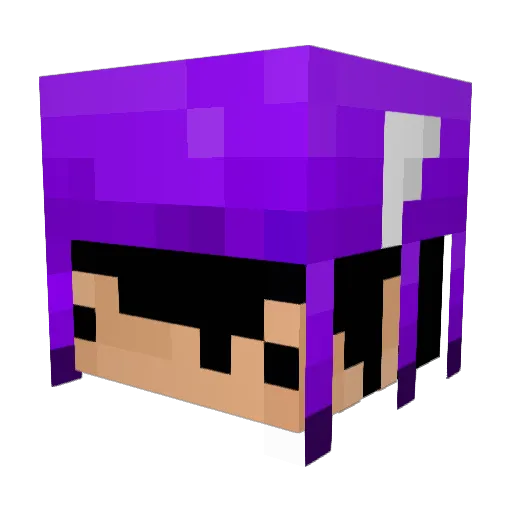 Kiwicomgoiaba Minecraft avatar head, 3D render